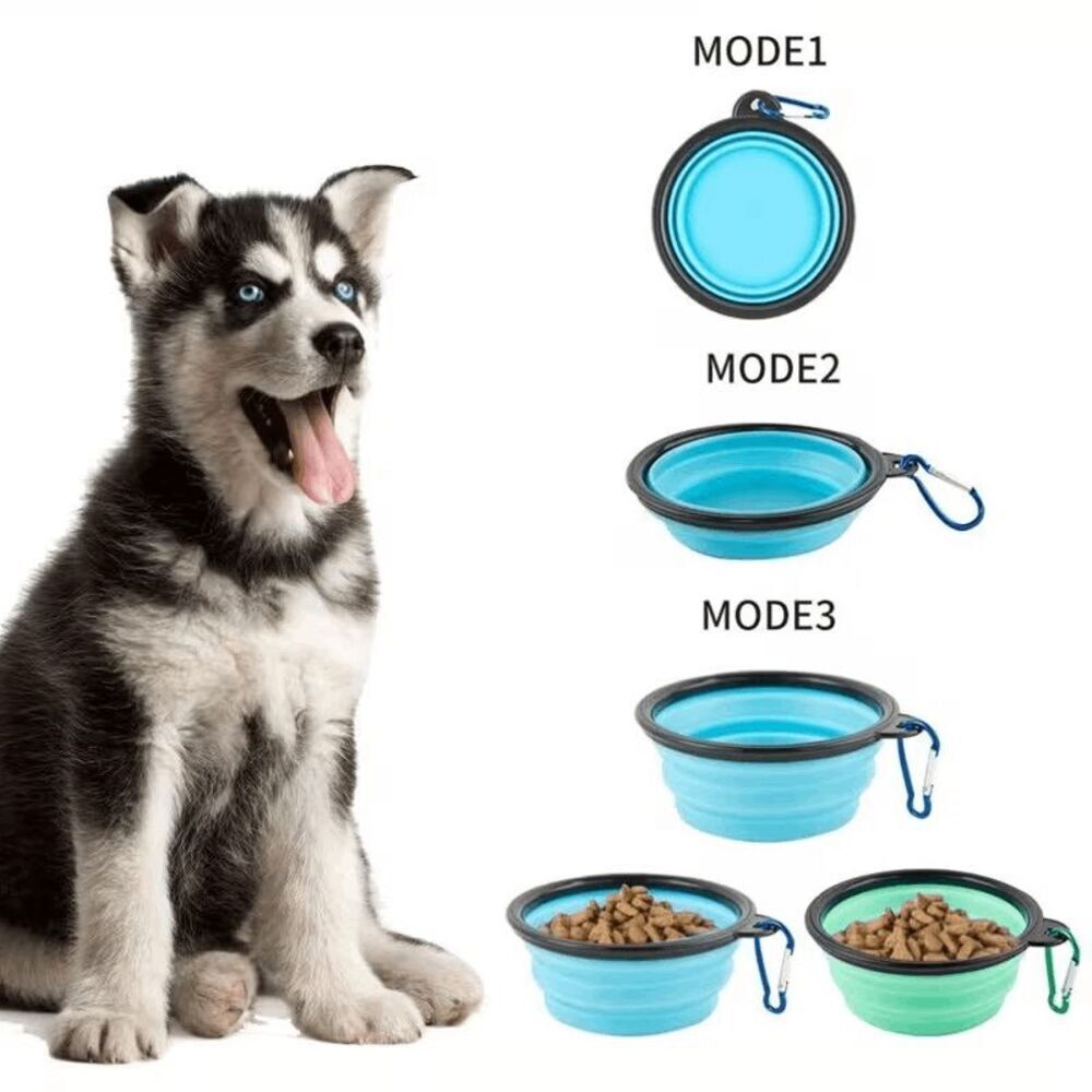 Collapsible Pet Travel Food or Water Bowl with Buckle